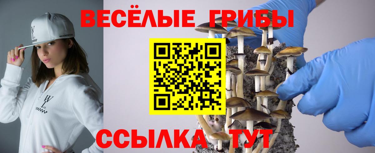 Чехов  хочу наркоту  Вход с VPN  Галлюциногенные грибы MAGIC MUSHROOMS 